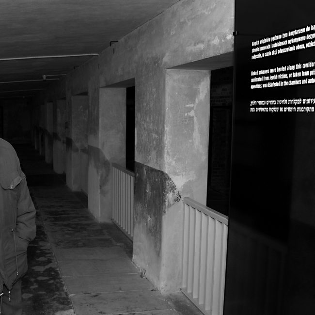 Henryk Mandelbaum, 2007 r.